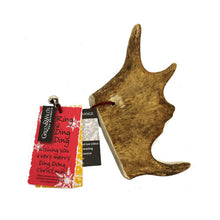 Fallow Antler